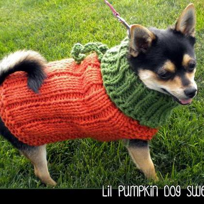 Lil Pumpkin Dog Sweater Knitting Pa..