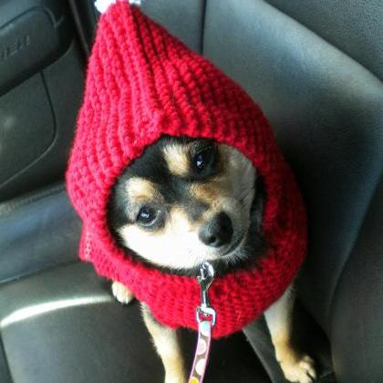 Holiday Hoodie for Dogs Knitting Pa..