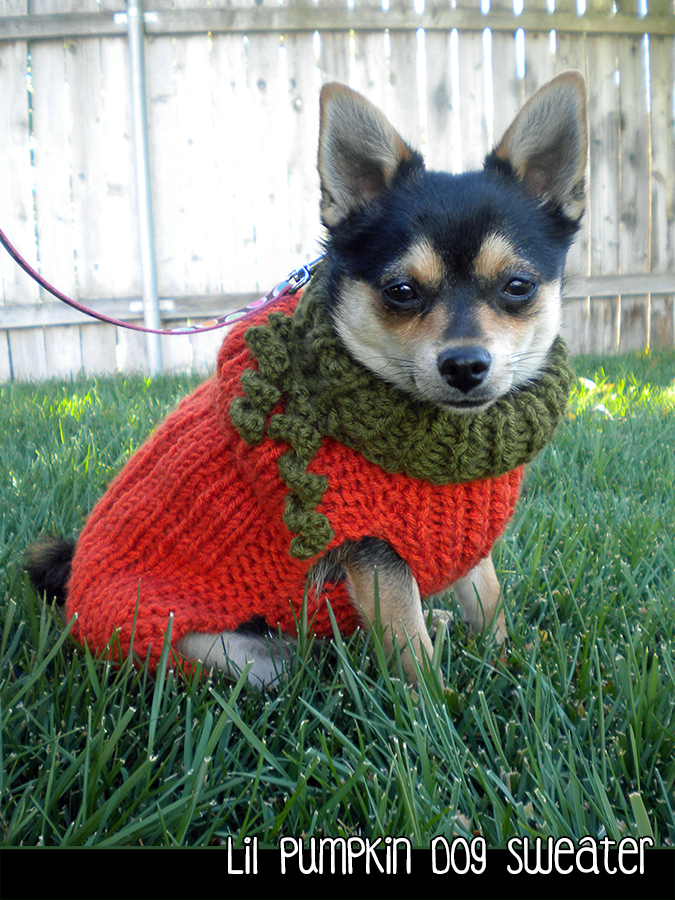 Lil Pumpkin Dog Sweater Knitting Pattern